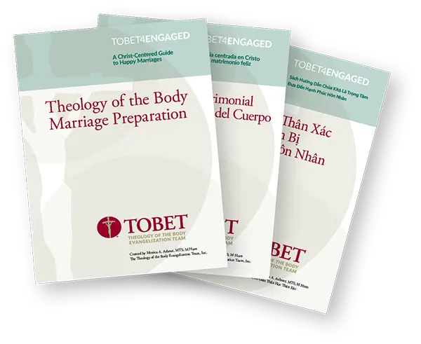 T4E 3 books fan