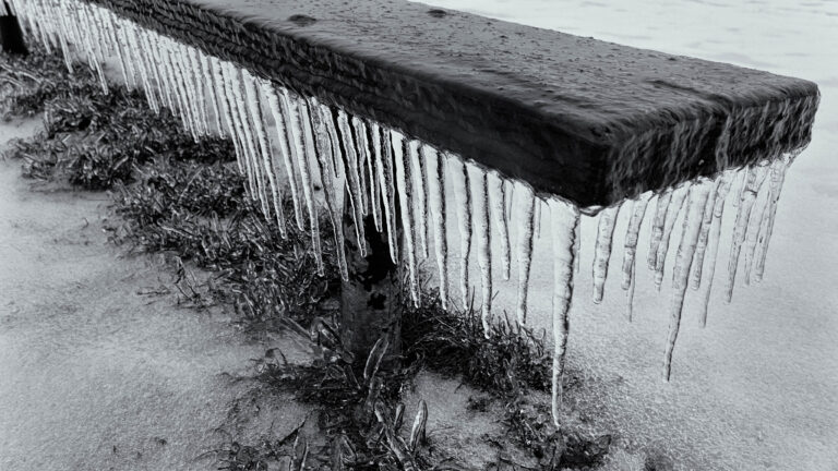 Our Bodies and the Weather